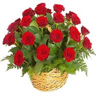 Basket 25 red roses