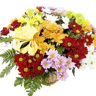 Chrysanthemum flowers basket