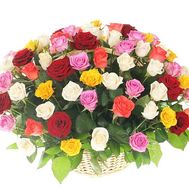 Basket of 251 multi-colored roses