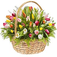 Basket of tulips