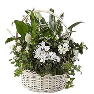 Basket with flowers as a gift