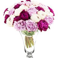 Beautiful bouquet of peonies