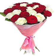 25 red and white roses