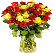 Red and yellow Dutch roses