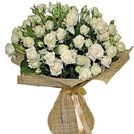 Cream bush roses