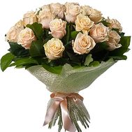 27 Cream Roses
