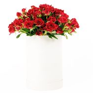 Spray roses in a hat box