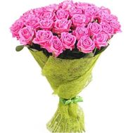 Delicate pink roses