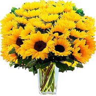 A huge bouquet of sunflowers