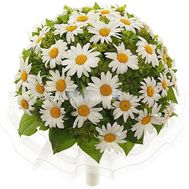 A huge bouquet of daisies