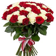 51 red and white rose