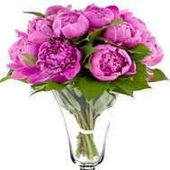 Peonies in a bouquet