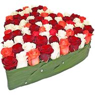 Multicolored roses in the shape of a heart