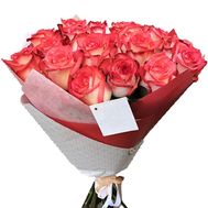 Roses Blush