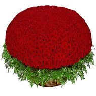 The largest bouquet of red roses - 1001 roses