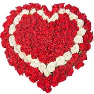 Heart of roses 101 red and white