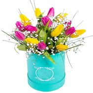Tulips in a box