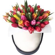 Tulips in a box to buy