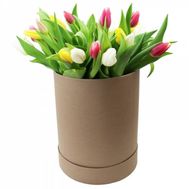 Tulips in a Hat Box