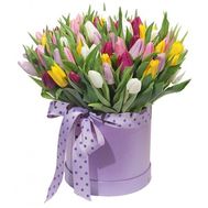 101 tulips in a box