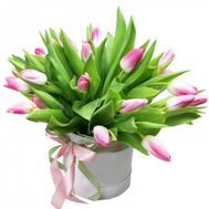 21 pink tulips in a box