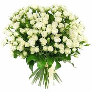 31 white spray rose