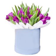 35 purple tulips in a box