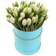 51 white tulip in a hat box