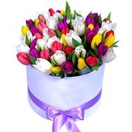 51 multi-colored tulips in a round box