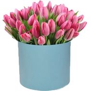 51 pink tulips in a box