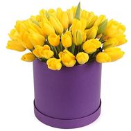51 yellow tulip in a hat box