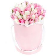 White and pink tulips in a box