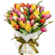 Large box of tulips