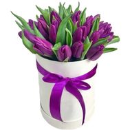 Purple tulips in a hat box