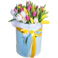 Box of 35 tulips