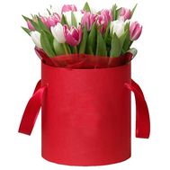 Box of white and pink tulips