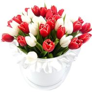 Red and white tulips in a box