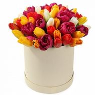 Multicolored tulips in a box