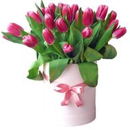 Pink tulips in a hat box