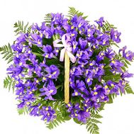 51 iris in the basket