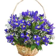 Bouquet of irises in a basket