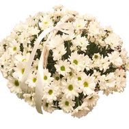 Bouquet of daisies in a basket