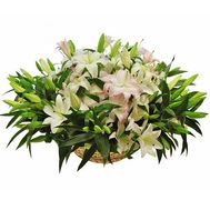 Lilies in the basket