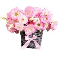 Small basket of eustoma