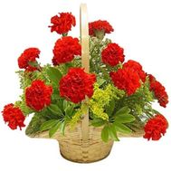 Small basket of carnations