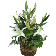 Small basket with lilies