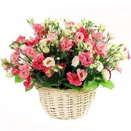 Delicate basket with eustomams