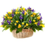 Yellow tulips and irises in a basket