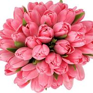 41 розовый тюльпан в букете