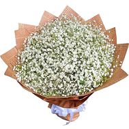 Big Bouquet of Gypsophila